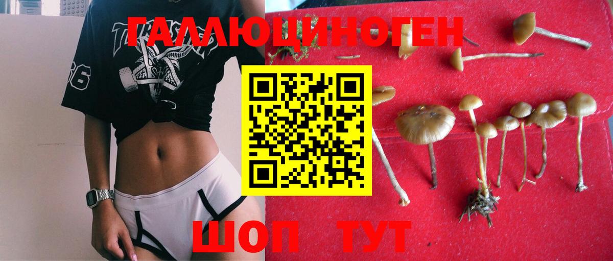 Феодосия  Псилоцибиновые грибы MAGIC MUSHROOMS  Вход с VPN 