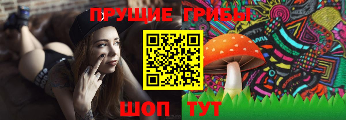Галлюциногенные грибы GOLDEN TEACHER Феодосия